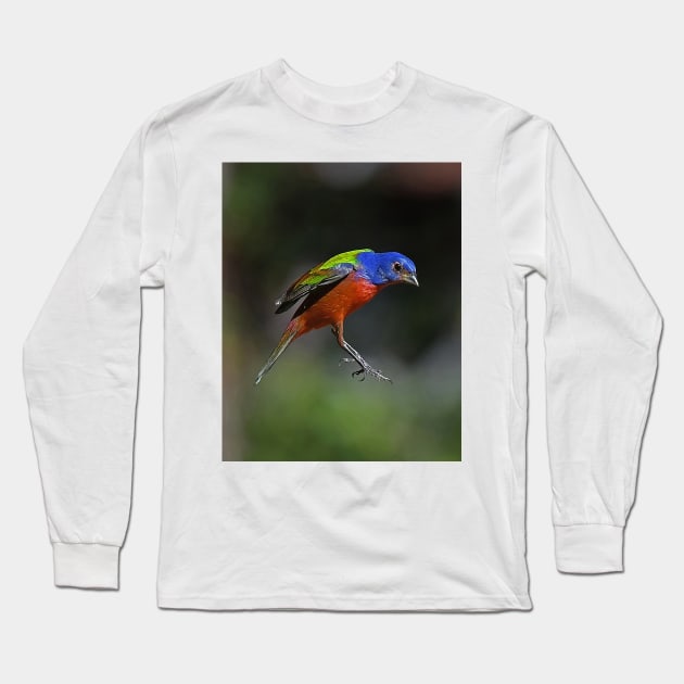 Painted Bunting Bird in Suspension Long Sleeve T-Shirt by candiscamera